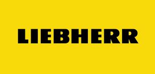ekskavatör için Liebherr 11007390 göbek yağı contası